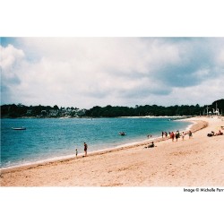 Harman Phoenix ISO 200 135-36 värifilmi