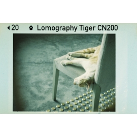 Lomography Color Tiger 110