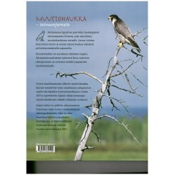 Peak Design Everyday Messenger 13L v2 kameralaukku