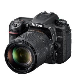 Peak Design Everyday Backpack 20 l v2 - Ash