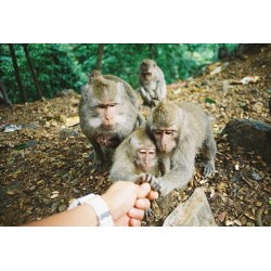 Nikon Z 8 + Z 24-120mm f/4 S