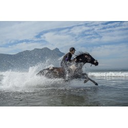 Sony GP-X2 Grip Extention