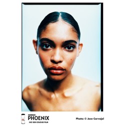 Harman Phoenix ISO 200 120 Color Film