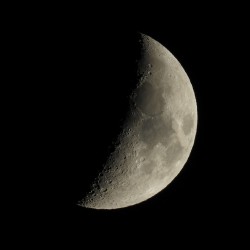 Nikon COOLPIX P1100 digital camera