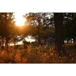 Nikon NIKKOR Z DX 16-50mm f/2.8 VR lens