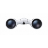 Nikon ACULON T02 8x21 binoculars