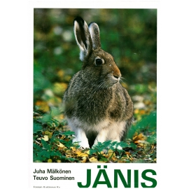 Broncolor välähdysputki L3785/29