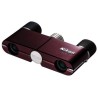 Nikon 4x10 DCF - Black - silver - red