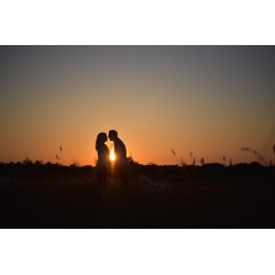 Nikon AF-S 24-70mm f/2.8E ED VR