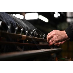 Nikon Z-Nikkor 24-70mm f/2.8 S objektiivi