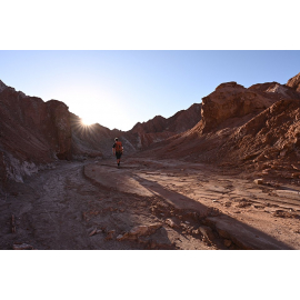 Nikon Nikkor Z 20mm f/1.8 S