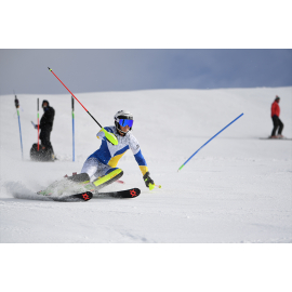 AF-S NIKKOR 180–400mm f/4E TC1.4