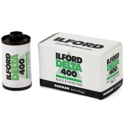 Ilford Delta 400 Professional 120 film
