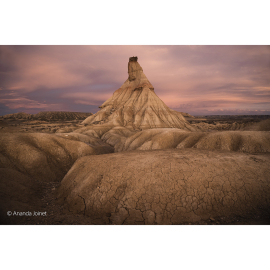 Sony FE 20–70 mm F4 G objektiivi