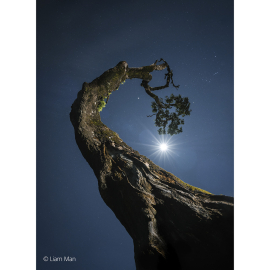 Sony FE 20–70 mm F4 G lens