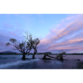 Nikon NIKKOR Z DX 12-28mm f/3.5-5.6 PZ VR objektiivi