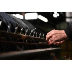 Nikon Z-Nikkor 24-70mm f/2.8 S objektiivi