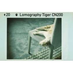 Lomography Color Tiger 110