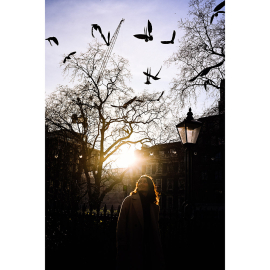 Nikon Z5II + 24-200mm f/4-6.3 VR