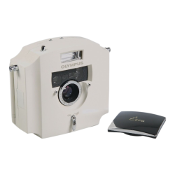 Olympus Écru 'Boxed'