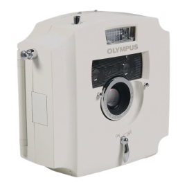 Olympus Écru 'Boxed'