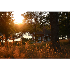 Nikon HB-3 vastavalosuoja