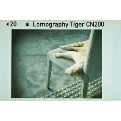 Lomography Color Tiger 110