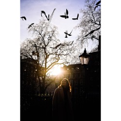 Nikon Z5II + Z 24-105mm f/4-7.1