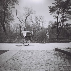 Lomography Lady Grey B&W 120 ISO 400 B&W filmi - 3 kpl