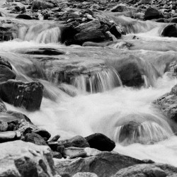 Lomography Lady Grey B&W 120 ISO 400 B&W filmi - 3 kpl