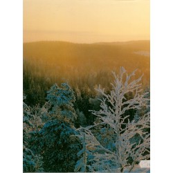 Sony NP-BX1 Alkuperäisakku